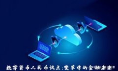 数字货币人民币试点：变革中的金融未